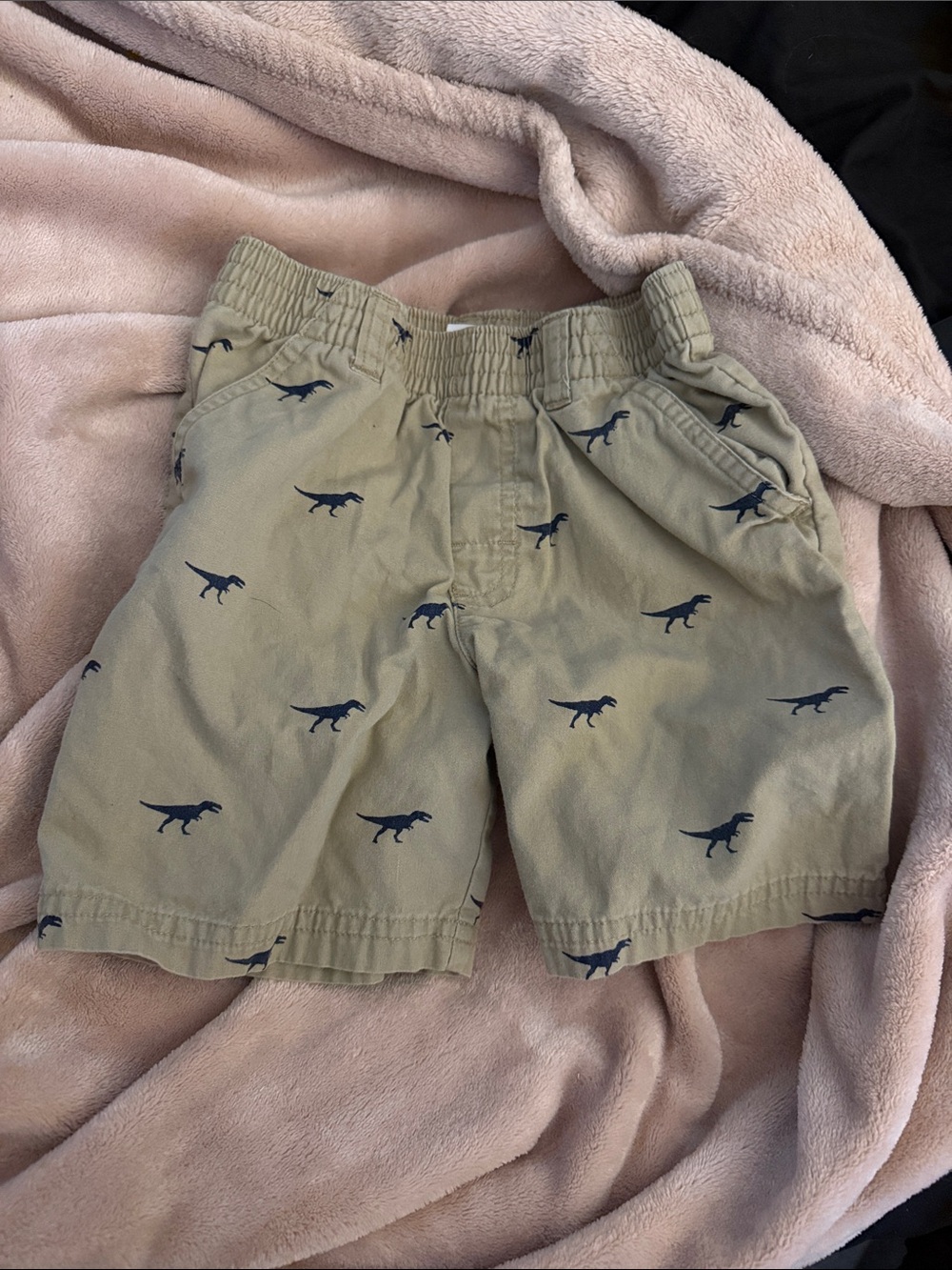 5/$25 Tan Shorts with Navy Dinosaur Print